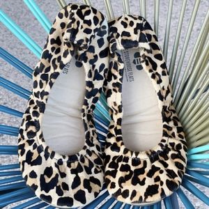 Storehouse Flats: Wild Side